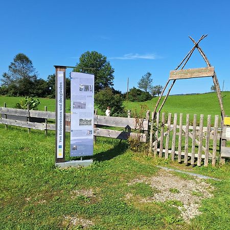 Fewo Allgaeuerle1605 Mit Hallenbad, Sauna, Tiefgarage Und Wlan Missen-Wilhams Luaran gambar