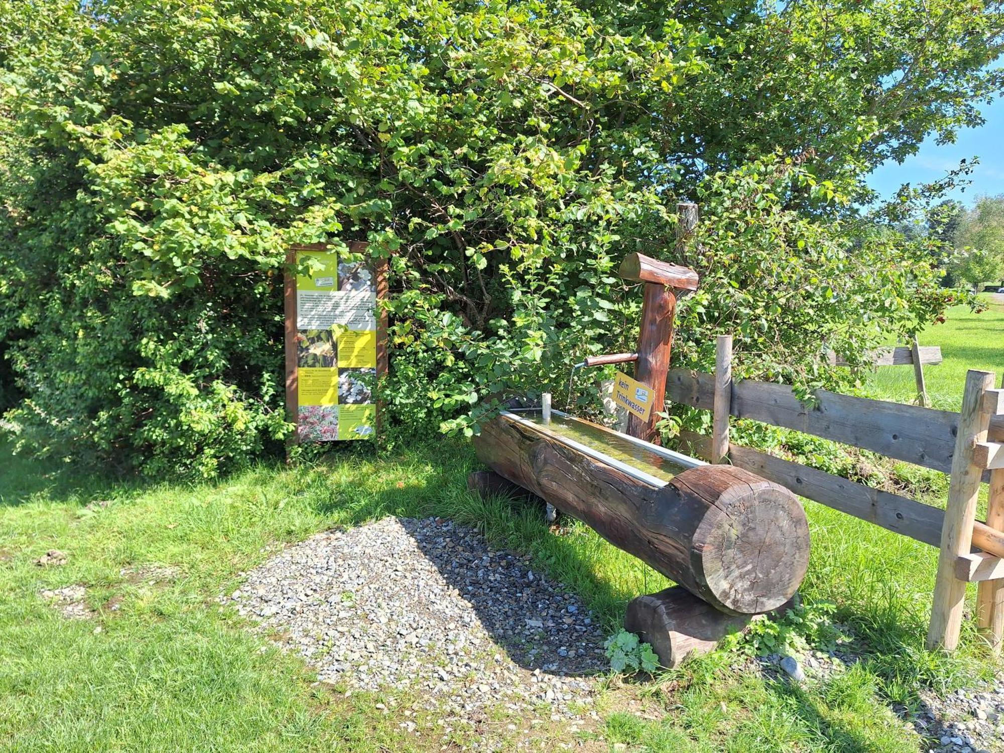 Fewo Allgaeuerle1605 Mit Hallenbad, Sauna, Tiefgarage Und Wlan Missen-Wilhams Luaran gambar