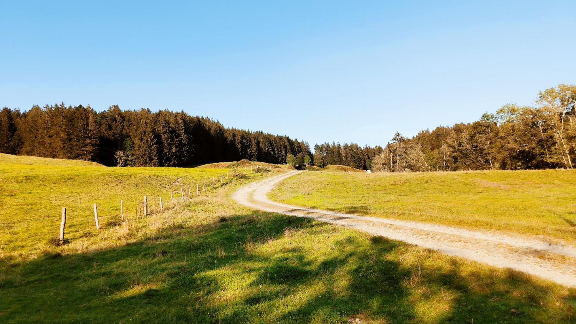 Fewo Allgaeuerle1605 Mit Hallenbad, Sauna, Tiefgarage Und Wlan Missen-Wilhams Luaran gambar