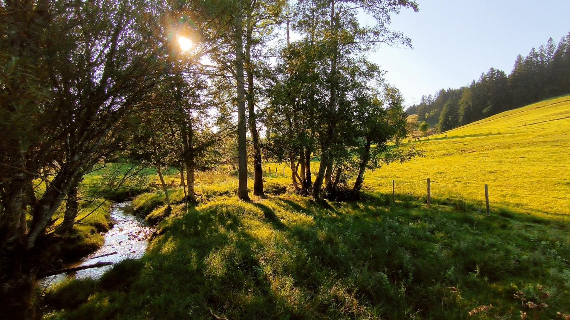 Fewo Allgaeuerle1605 Mit Hallenbad, Sauna, Tiefgarage Und Wlan Missen-Wilhams Luaran gambar